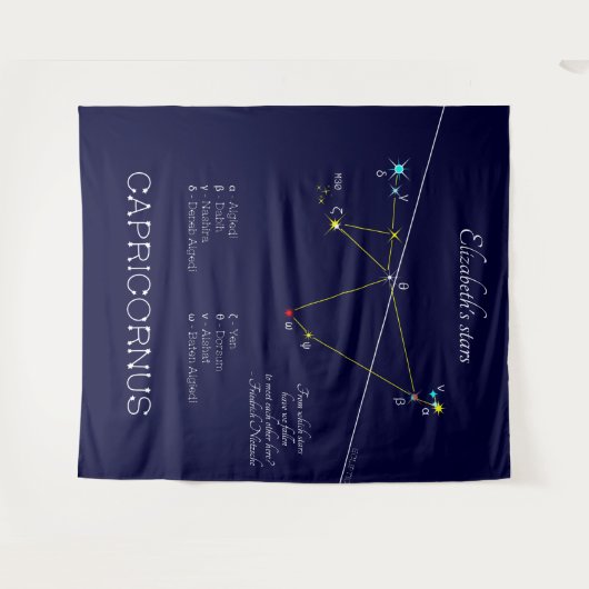 やぎ座 タペストリー (正面(横))