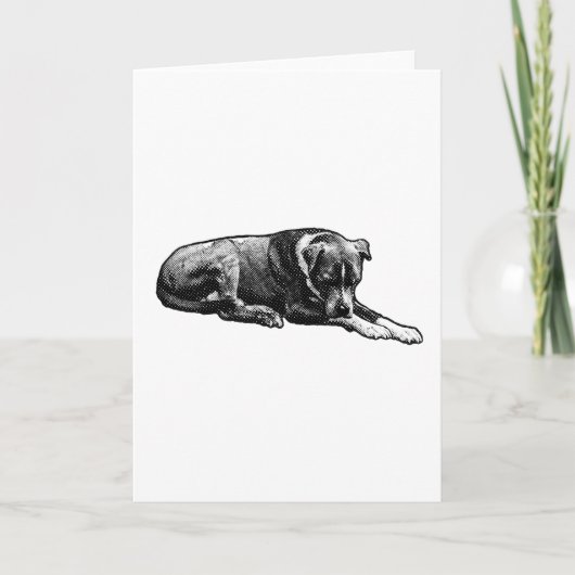 やさしいまなざしを感じる犬のカード カード (正面)