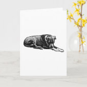 やさしいまなざしを感じる犬のカード カード (黄色い花)