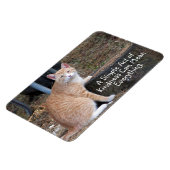 やさしいオレンジ色のタビーキャットマグネット マグネット (左側)