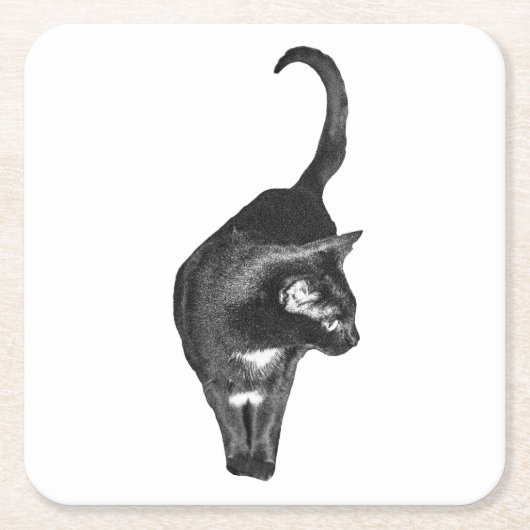 やさしい猫のアクセント スクエアペーパーコースター (正面)
