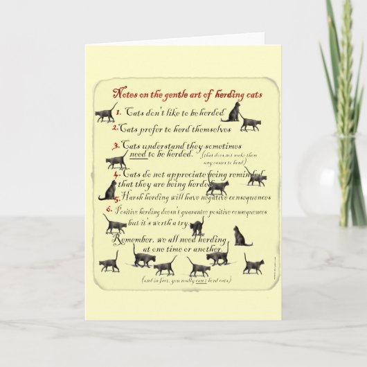 やさしい猫の飼い方のノート|過去記事 カード (正面)