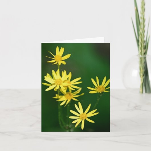 やさしい黄色の野の花の写真 ノートカード (正面)