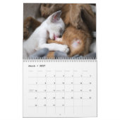 やさしく重大な カレンダー (3月 2027)