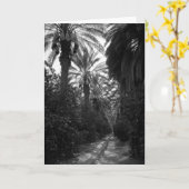 やしおよびオレンジ木はDesert 1966年に近づきます カード (黄色い花)