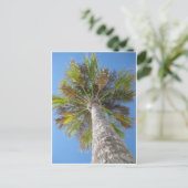 やしタワーの郵便はがき ポストカード (スタンド正面)