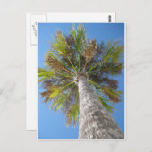 やしタワーの郵便はがき ポストカード (正面/裏面)