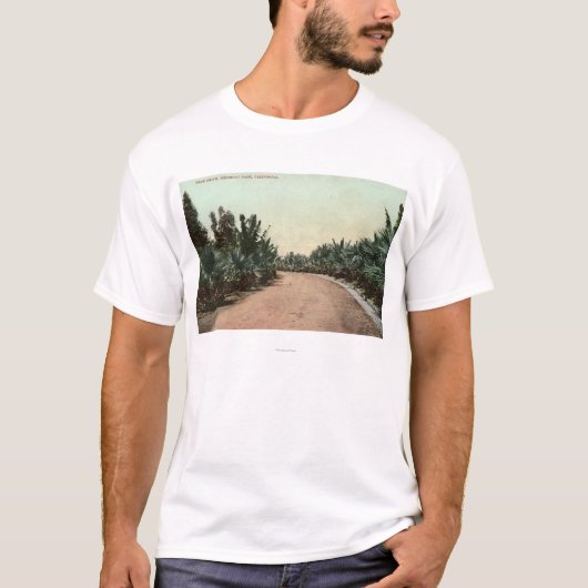 やしドライブの眺め Tシャツ (正面)