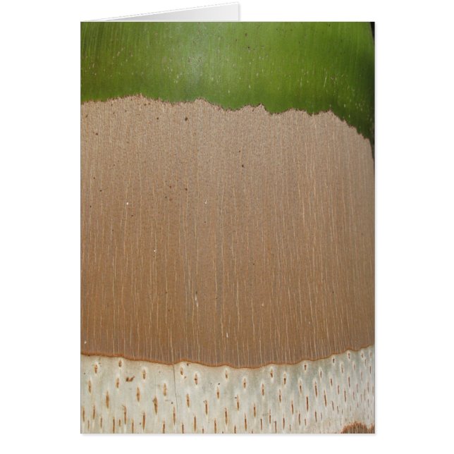 やしパターン (正面)