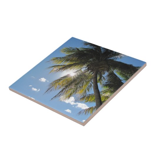 やし タイル (側面)