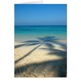 やし、Lanikaiのビーチ