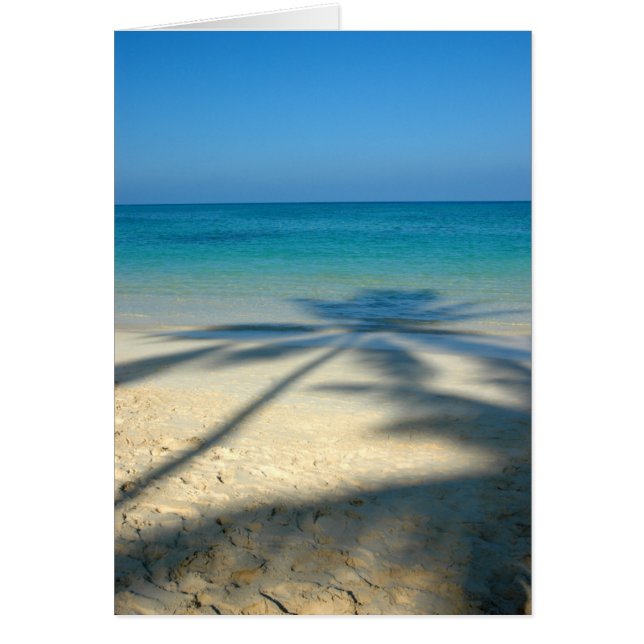 やし、Lanikaiのビーチ (正面)