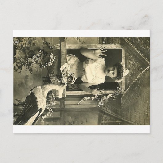 やだ！地獄の嵐だ！ ポストカード (正面)