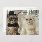 やったぞ! 案内ポストカード (正面/裏面)