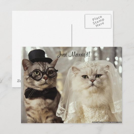 やったぞ！ 案内ポストカード (正面/裏面)