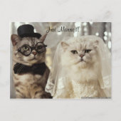 やったぞ！ 案内ポストカード (正面)