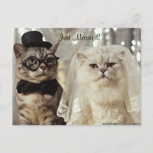 やったぞ! 案内ポストカード (正面)