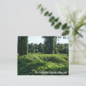 やっぱりクズ界だ ポストカード (スタンド正面)