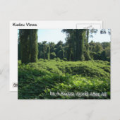 やっぱりクズ界だ ポストカード (正面/裏面)