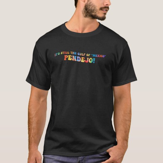 やっぱりメキシコ湾だよ、バカ! Tシャツ (正面)