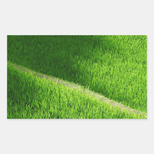 やまだの棚田 日本 長方形シール (正面)