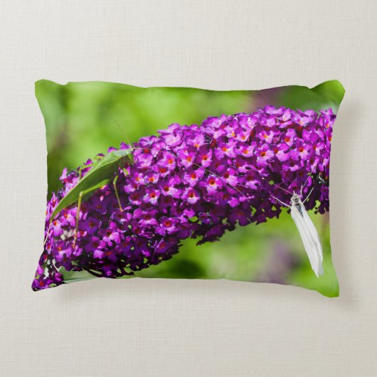 やみくもなエネルギー アクセントクッション (裏面)