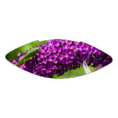 やみくもなエネルギー アメリカンフットボール (パネル)