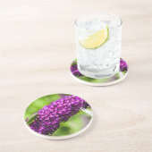 やみくもなエネルギー コースター (側面)