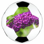 やみくもなエネルギー サッカーボール (正面)