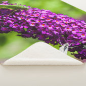 やみくもなエネルギー シェルパブランケット (3/4)