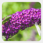 やみくもなエネルギー スクエアシール (正面)