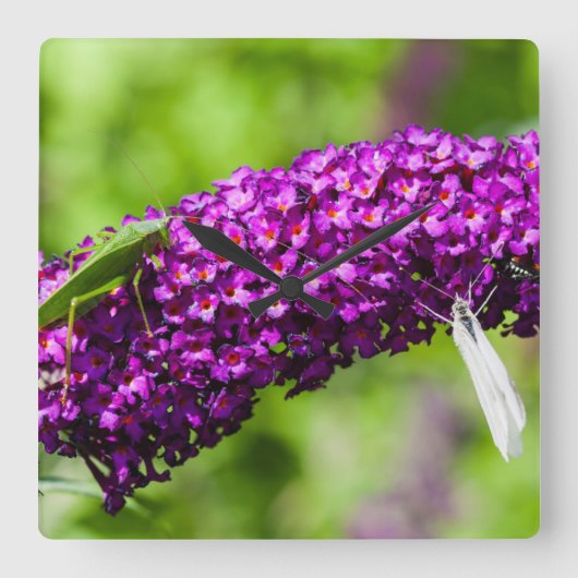 やみくもなエネルギー スクエア壁時計 (正面)