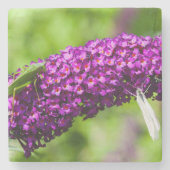 やみくもなエネルギー ストーンコースター (正面)