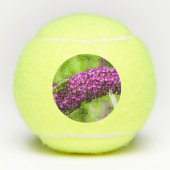 やみくもなエネルギー テニスボール (正面)