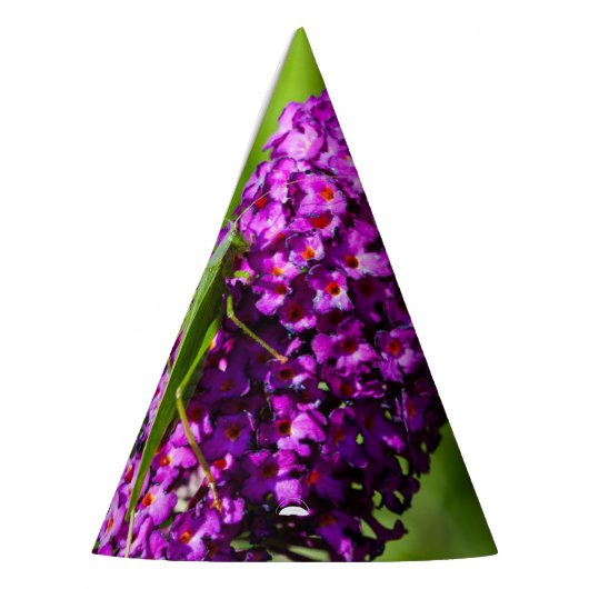 やみくもなエネルギー パーティーハット (左)