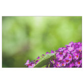 やみくもなエネルギー ファブリック (ファットクウォーター)