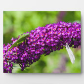 やみくもなエネルギー フォトプラーク (正面)