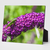 やみくもなエネルギー フォトプラーク (側面)