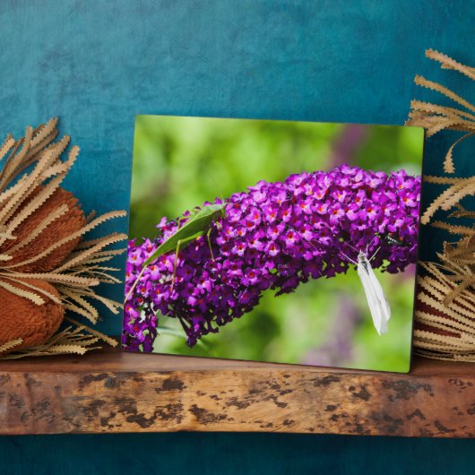 やみくもなエネルギー フォトプラーク (側面)