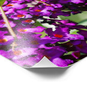 やみくもなエネルギー フォトプリント            (角)