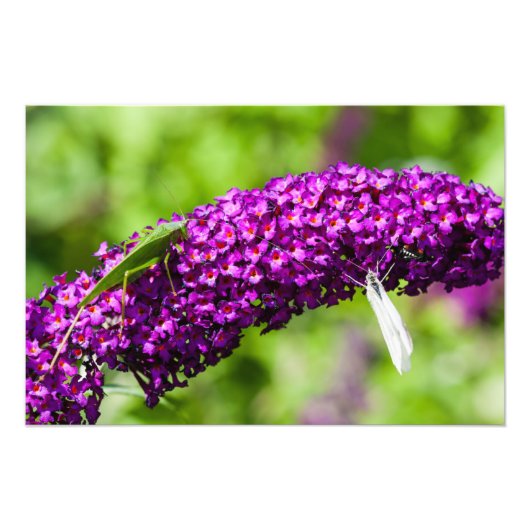 やみくもなエネルギー フォトプリント            (正面)