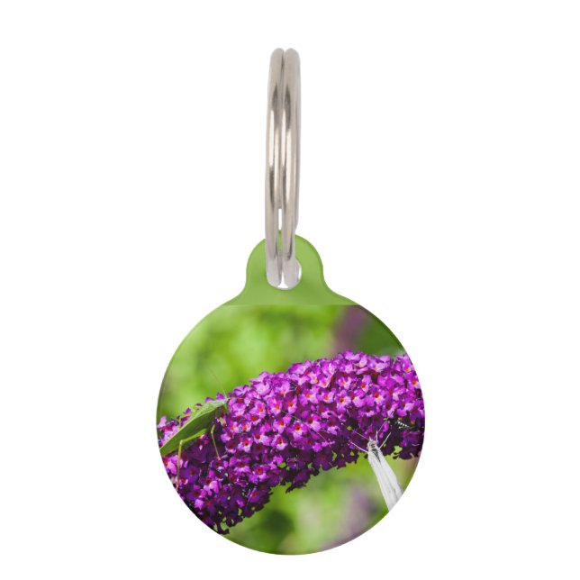 やみくもなエネルギー ペット　ネームタグ (正面)