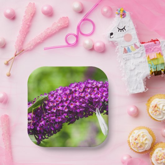 やみくもなエネルギー ペーパープレート (パーティー)