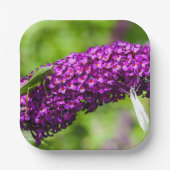 やみくもなエネルギー ペーパープレート (正面)