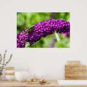 やみくもなエネルギー ポスター (キッチン)