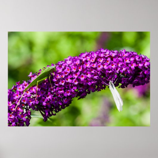 やみくもなエネルギー ポスター (正面)