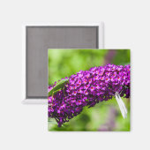 やみくもなエネルギー マグネット (正面/裏面)