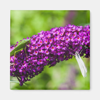 やみくもなエネルギー マグネット