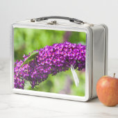 やみくもなエネルギー メタルランチボックス (インサイチュ)