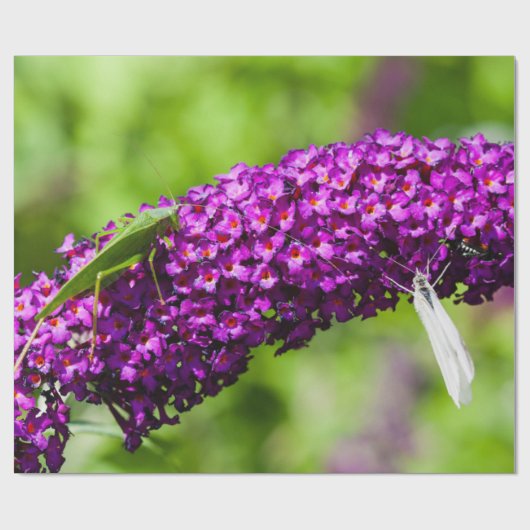 やみくもなエネルギー ラッピングペーパー (フラット)